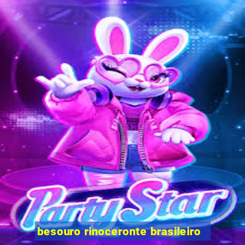 besouro rinoceronte brasileiro